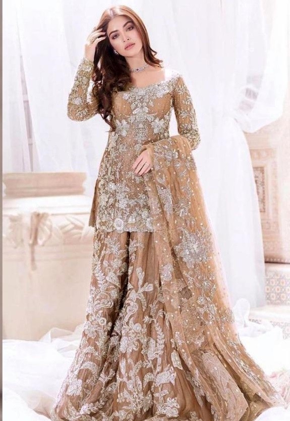 RINAAZ FASHION 1123 D PAKISTANI SUITS BEST WHOLSALER PRICE