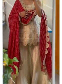 ZSR 3101 PAKISTANI SHARARA ONLINE SHOPPING SURAT