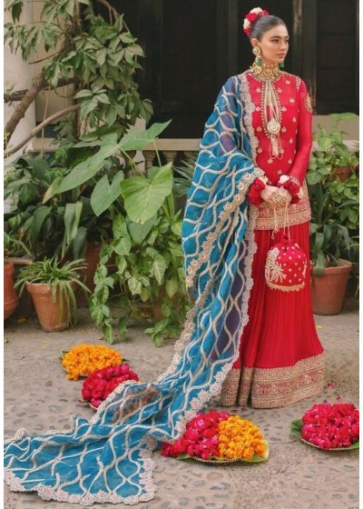 RINAZ FASHION 1162 PREMIUM COLLECTIO BEST PRICE