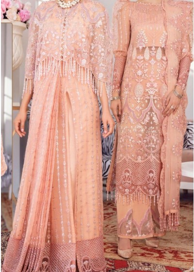 RAMSHA VOL 7 R 373 PAKISTANI SUITS LATEST ONLINE