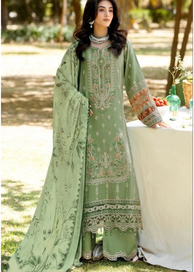 DINSAA SUIT D 252 IMROZIA VOL 1 PAKISTANI SALWAR SUITS SINGLE AVAILABLE INDIA
