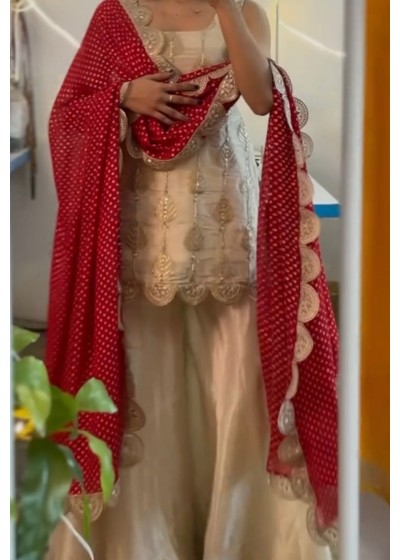 ZSR 3101 PAKISTANI SHARARA ONLINE SHOPPING SURAT